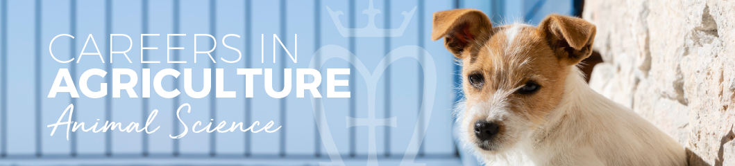 Careers in Agriculture - Animal Science | Marian Catholic College Kenthurst