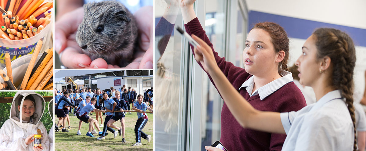 Marian Catholic College Kenthurst