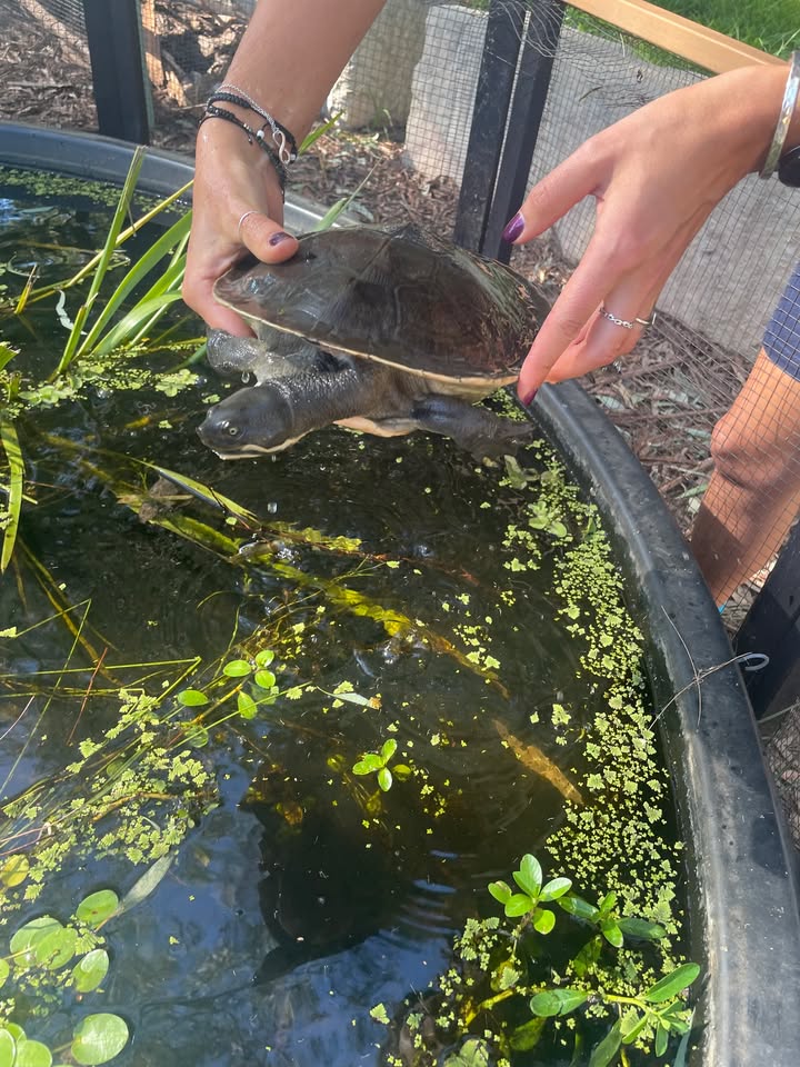 846213327113489_1652498166484997-1